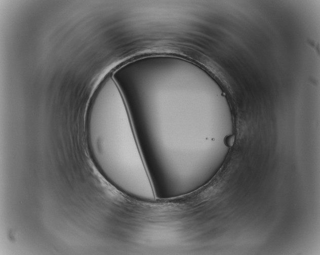 X0000101680988200807101140