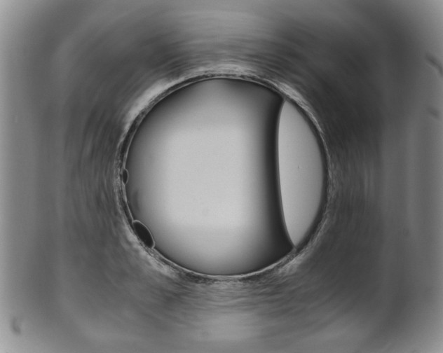 X0000101680989200807101140