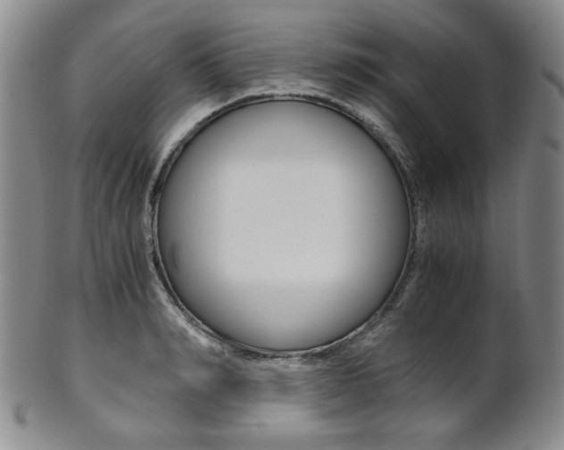 X0000101680990200807101140