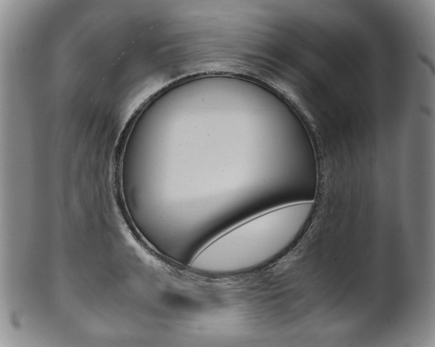 X0000101680991200807101140