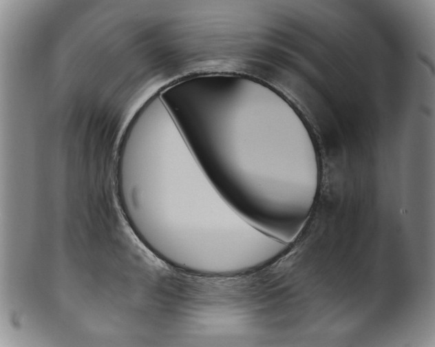 X0000101680992200807101140