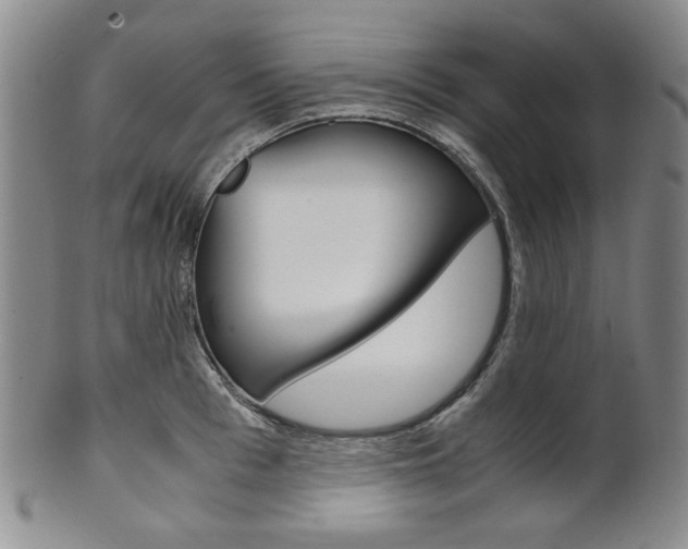 X0000101680993200807101140