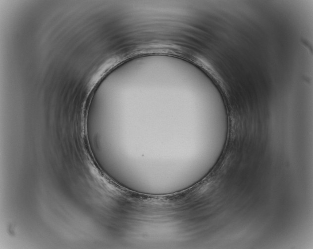 X0000101680994200807101140