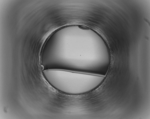 X0000101680996200807101140