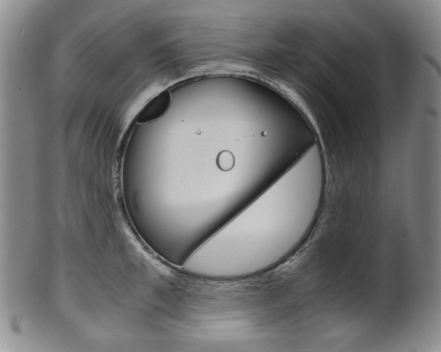 X0000101680997200807101140