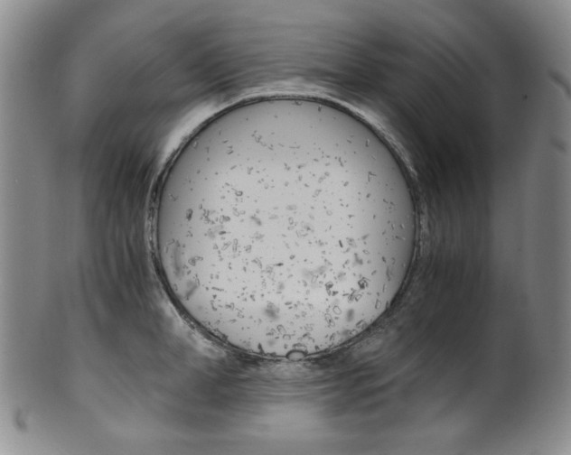 X0000101680998200807101140