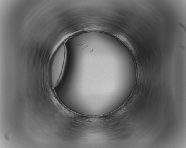 X0000101681000200807101140