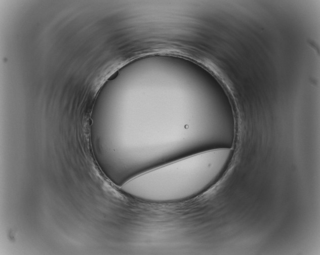 X0000101681001200807101140