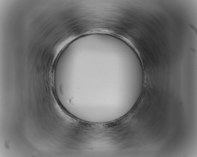 X0000101681003200807101140