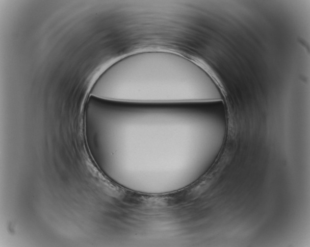 X0000101681004200807101140