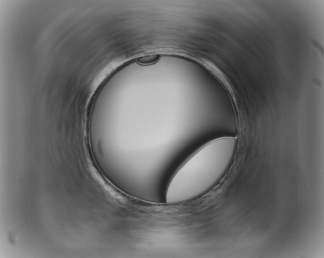 X0000101681005200807101140