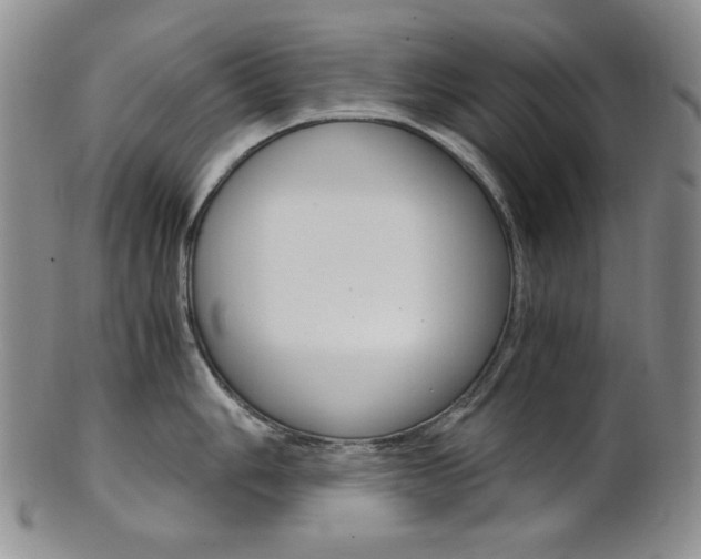 X0000101681006200807101140
