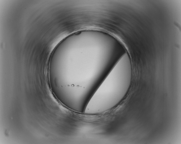X0000101681007200807101140