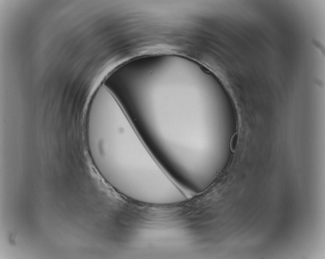 X0000101681008200807101140