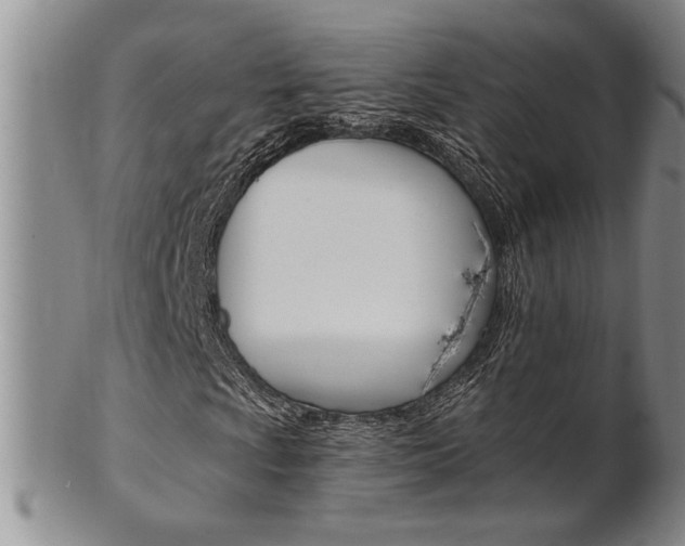 X0000101681009200807101139