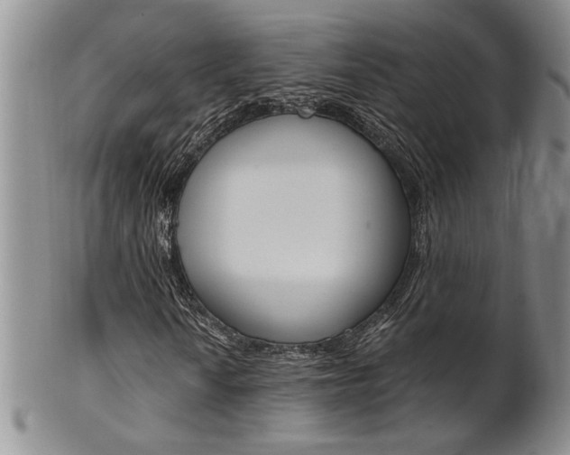 X0000101681010200807101139