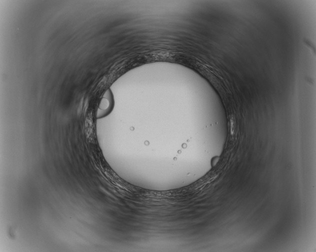 X0000101681011200807101139