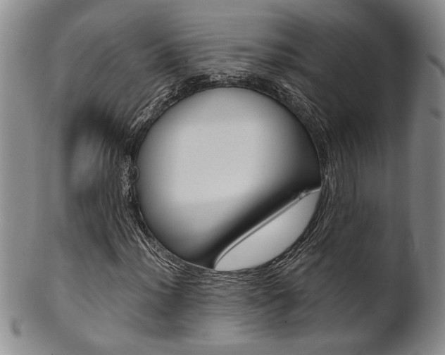 X0000101681012200807101139