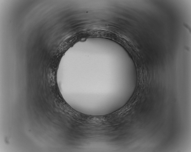 X0000101681013200807101139