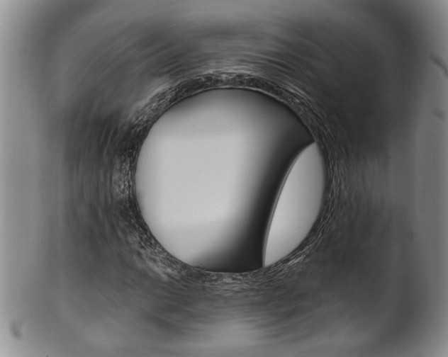 X0000101681014200807101139