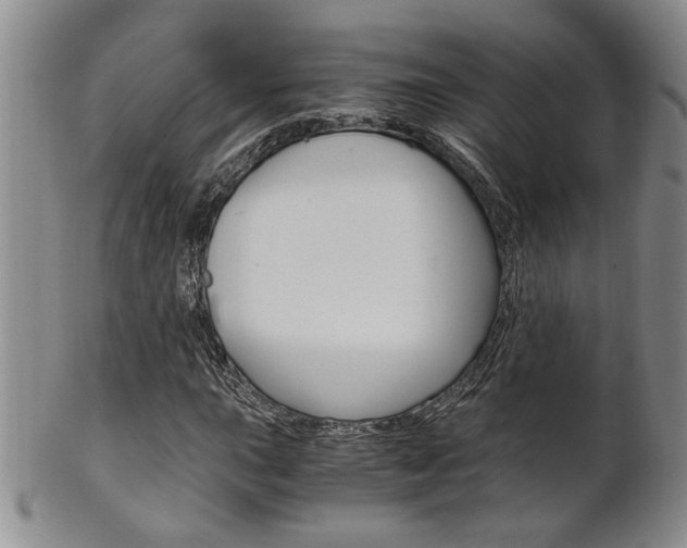 X0000101681015200807101139