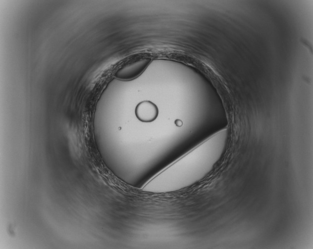X0000101681016200807101139