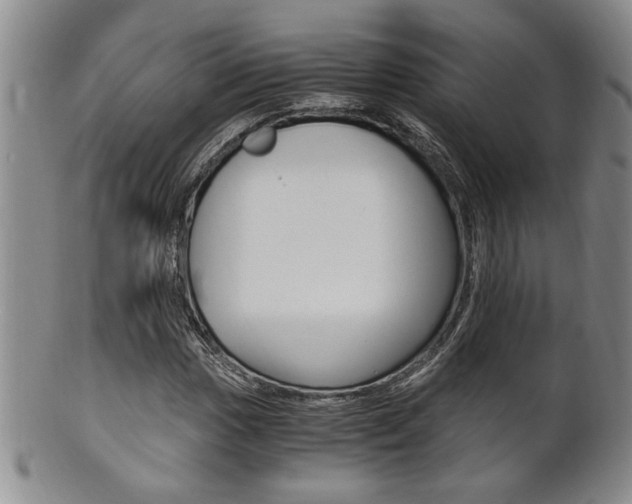 X0000101681017200807101139