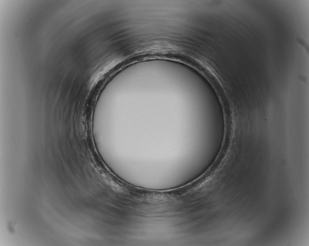 X0000101681018200807101139