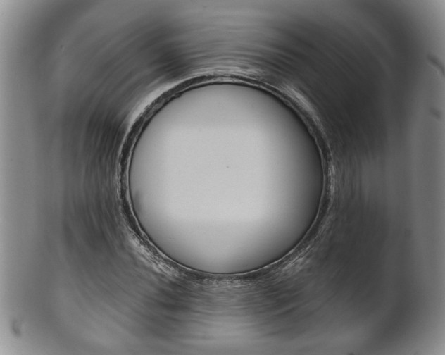 X0000101681020200807101139