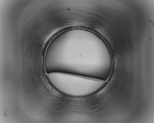 X0000101681021200807101139
