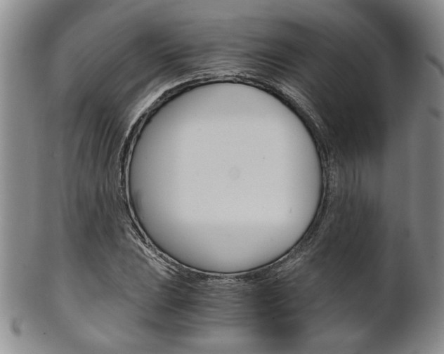 X0000101681023200807101139