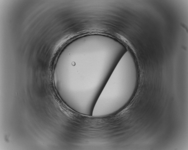 X0000101681027200807101139