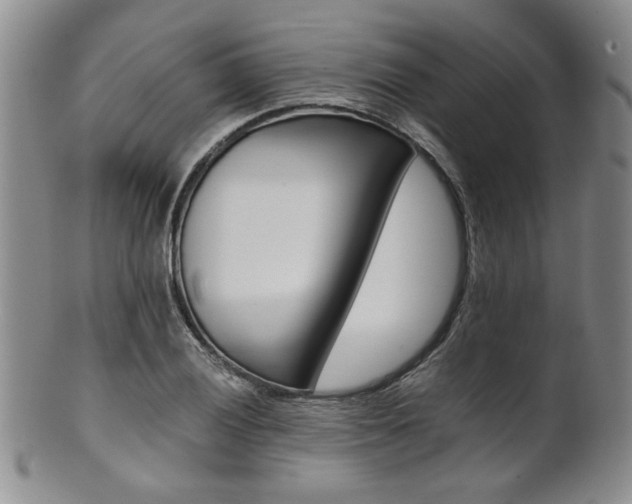 X0000101681028200807101139
