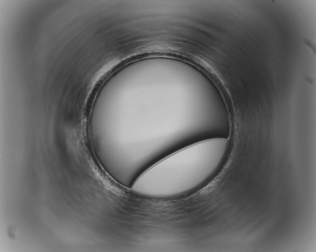 X0000101681029200807101139