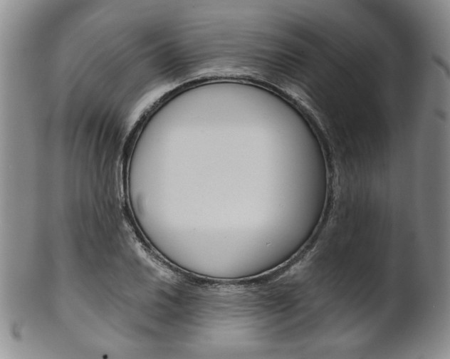 X0000101681030200807101139
