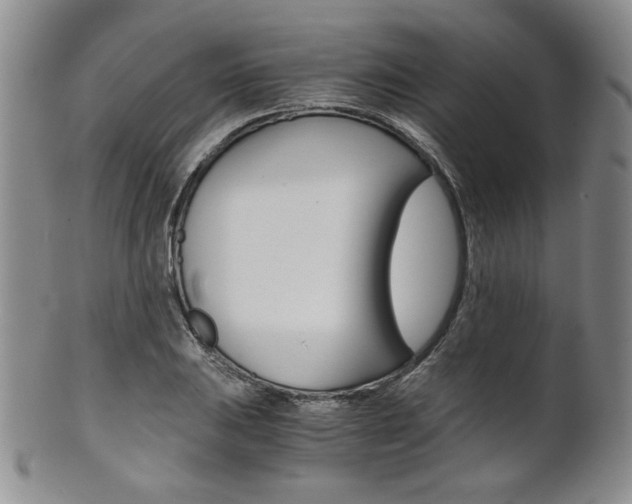X0000101681031200807101139