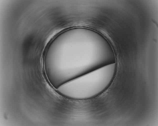 X0000101681032200807101139
