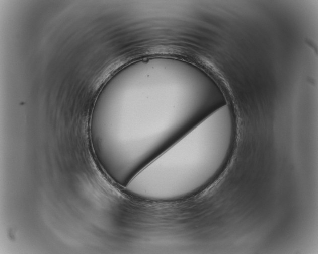 X0000101681033200807101139
