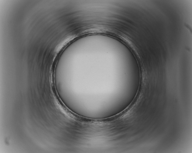X0000101681034200807101139