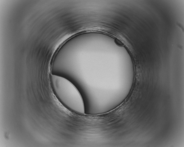 X0000101681036200807101139