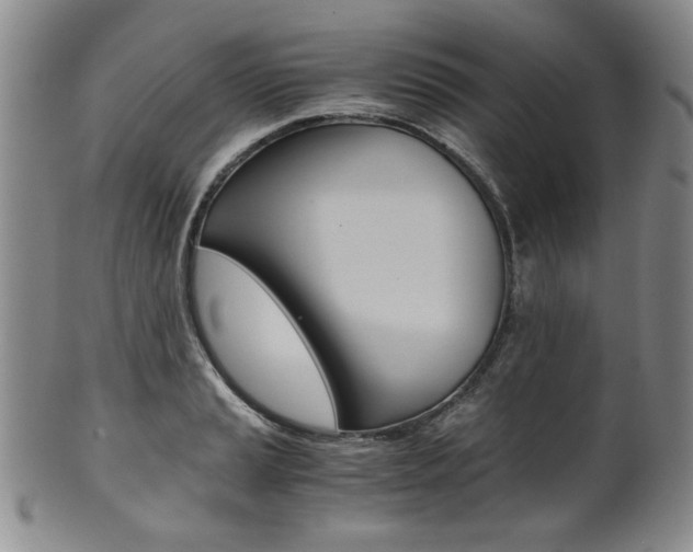 X0000101681037200807101139