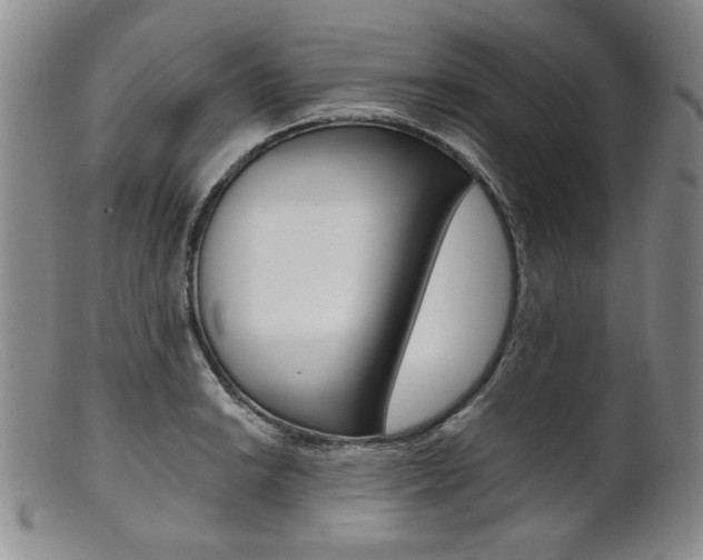 X0000101681038200807101139