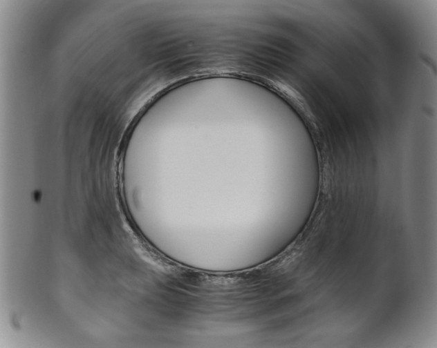 X0000101681039200807101139