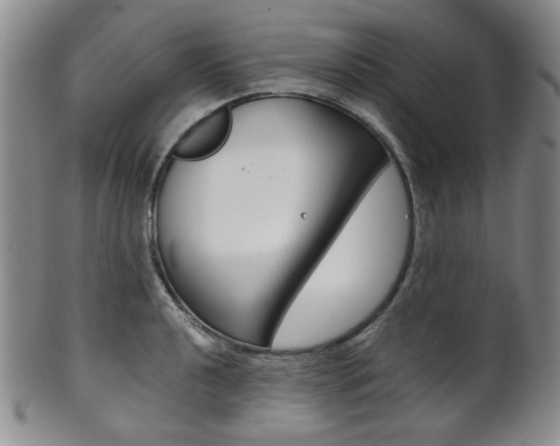 X0000101681040200807101139