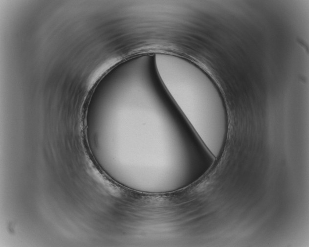 X0000101681042200807101139