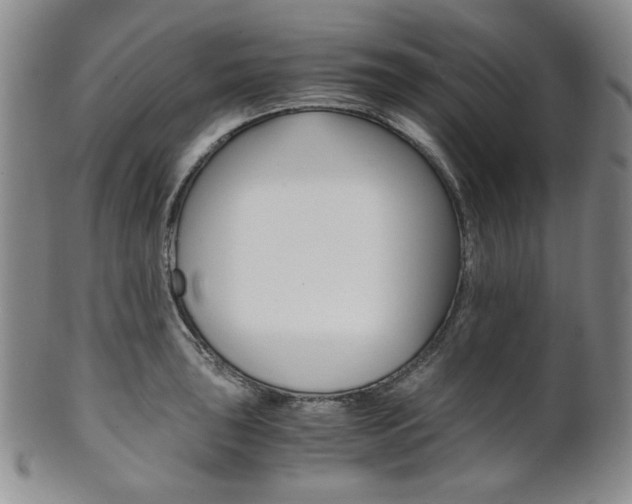 X0000101681043200807101139