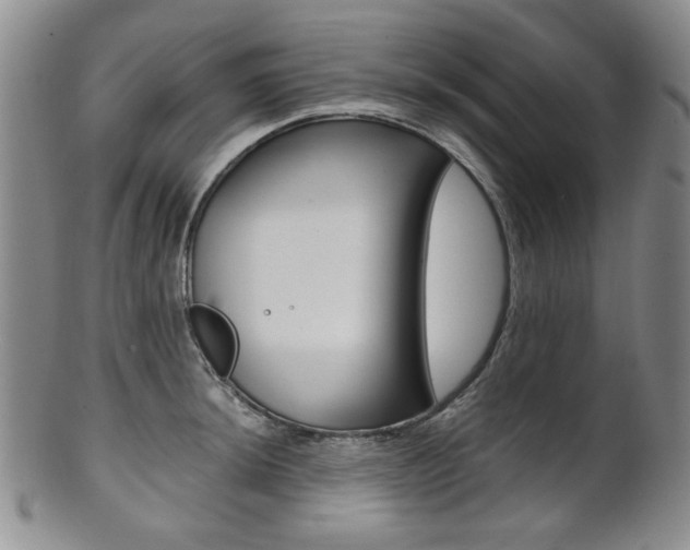 X0000101681044200807101139