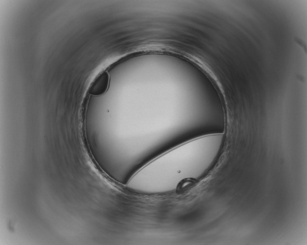 X0000101681045200807101139