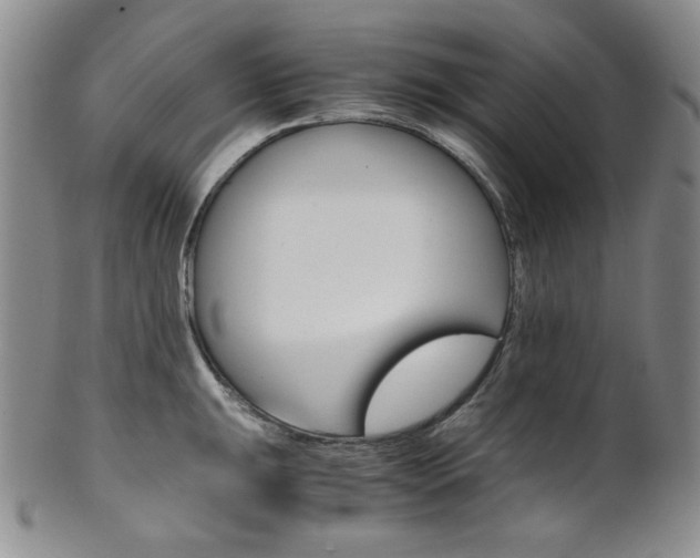 X0000101681047200807101139