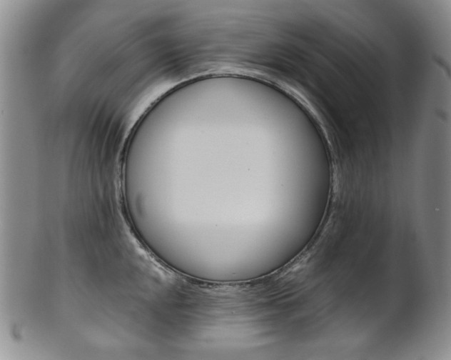 X0000101681048200807101139